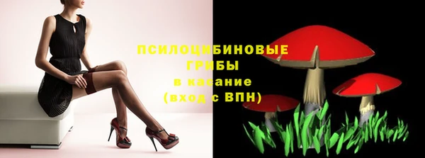 дурь Семилуки
